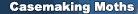 Casemaking Moths